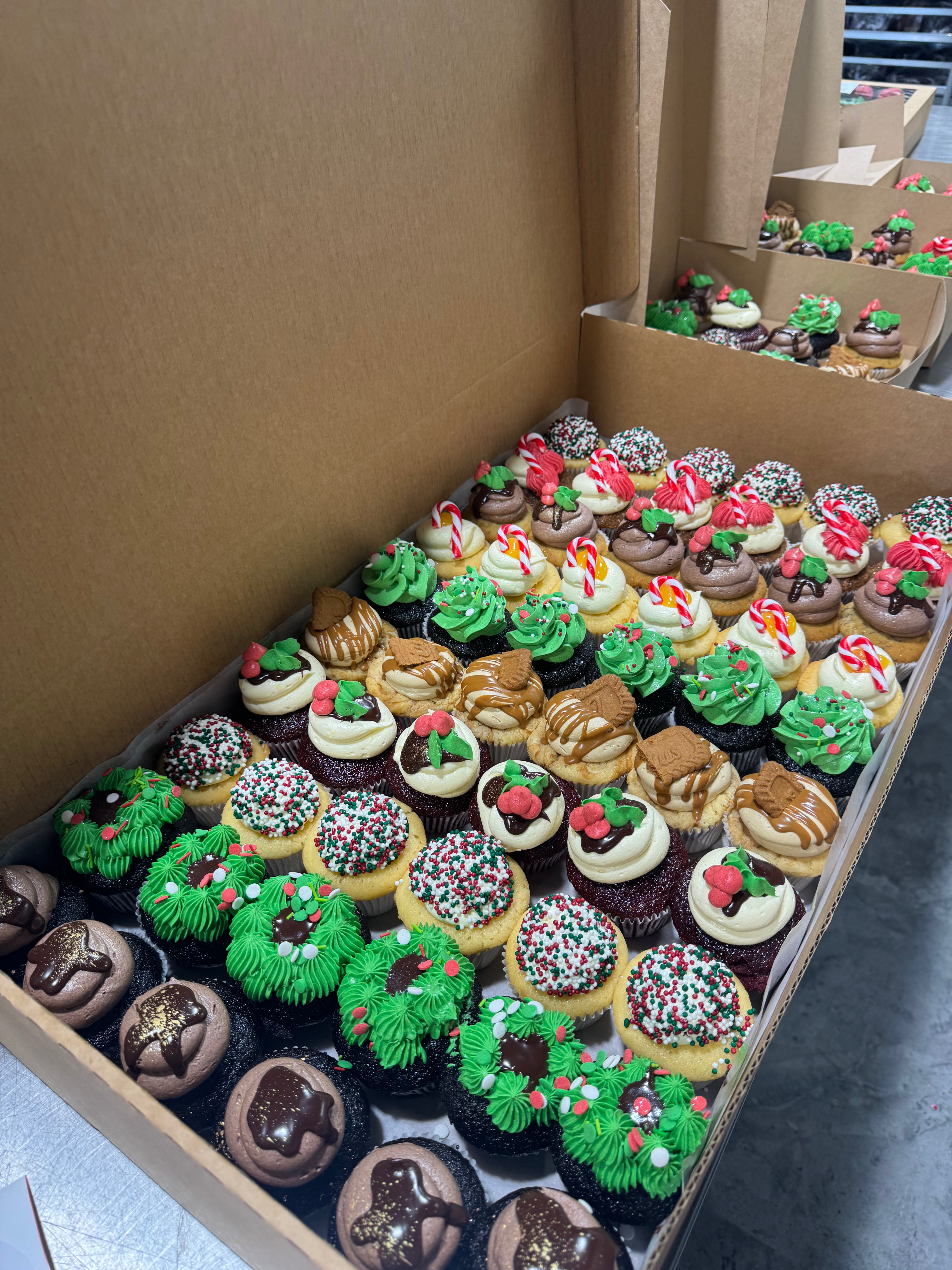 66 Pack Christmas Cupcake Box