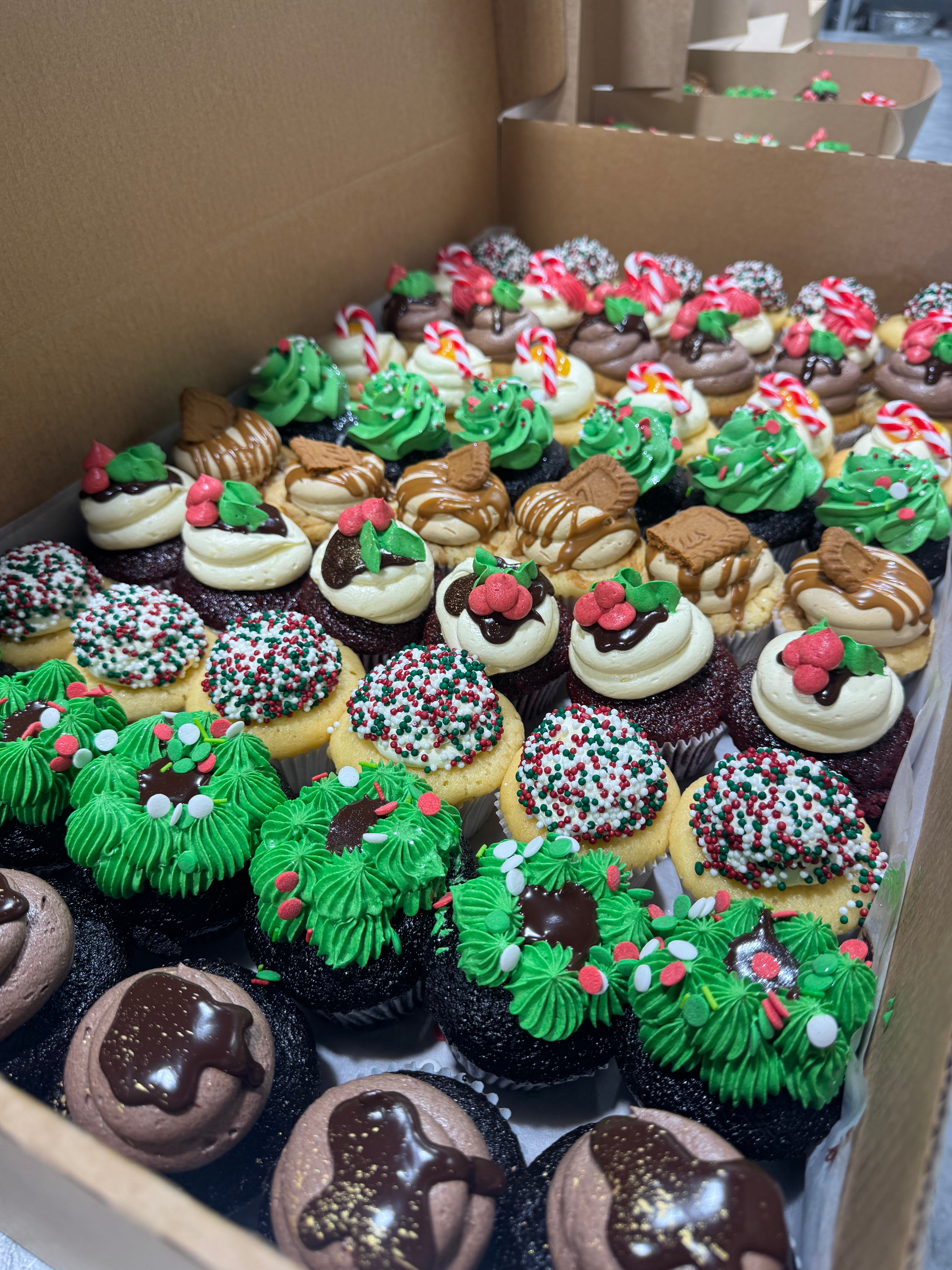 66 Pack Christmas Cupcake Box